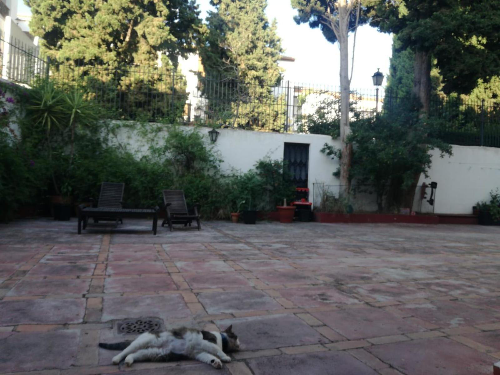 Casa Del Agua Apartman Granada Kültér fotó